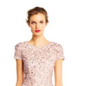 Adrianna Papell scoop back sequin gown- blush